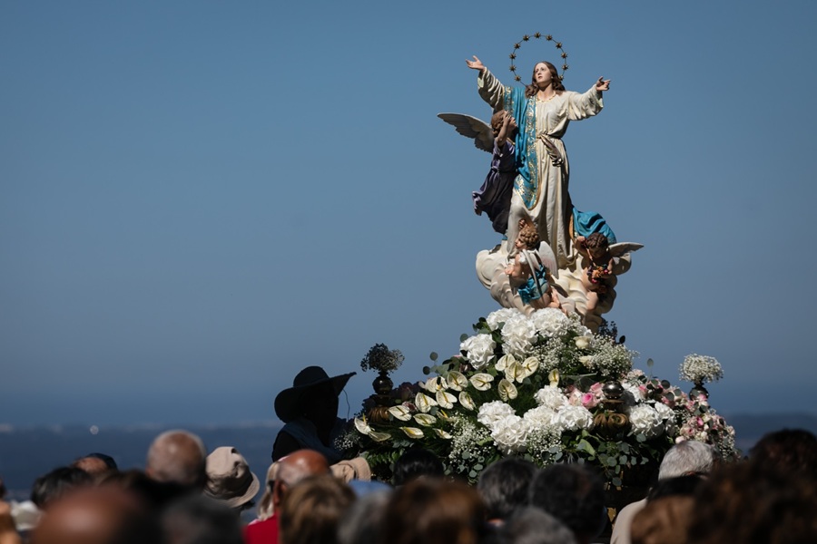 Santo Tirso garante transporte para as festas da Senhora da Assunção